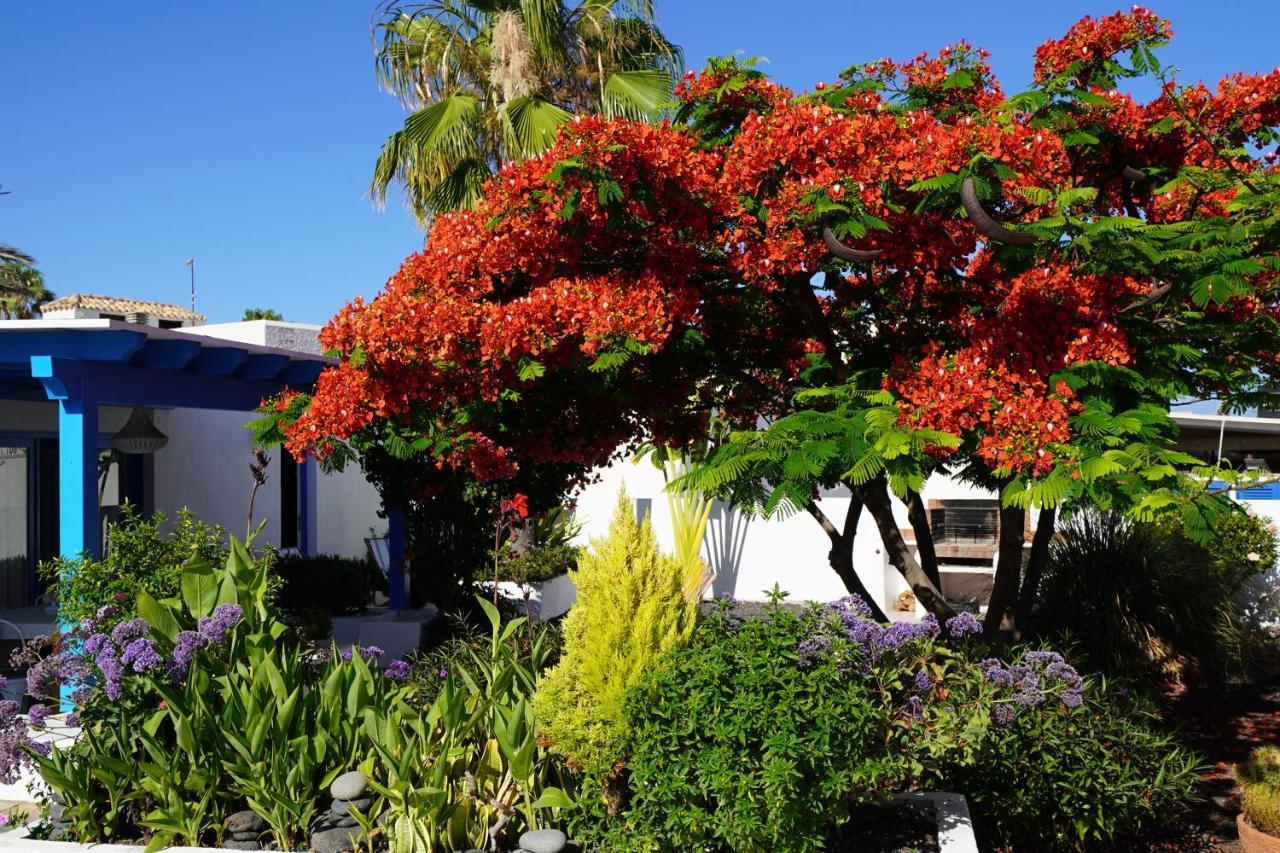 Villa Timfay Corralejo Exterior foto